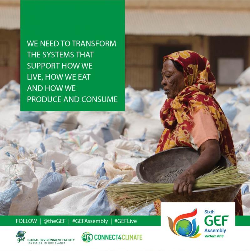 GEF Assembly June 2018: We need to transform the systems that support how we live, how we eat, how we move and how we produce and consume.