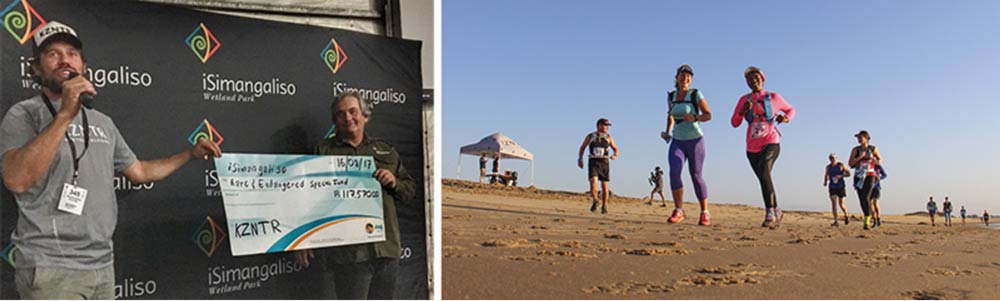 The inaugural iSimangaliso Trail Challenge in July this year brought 127 trail runners into close proximity with the natural beauty of the Lake St Lucia Estuary, Eastern Shores and Maphelane sections of the Park. 