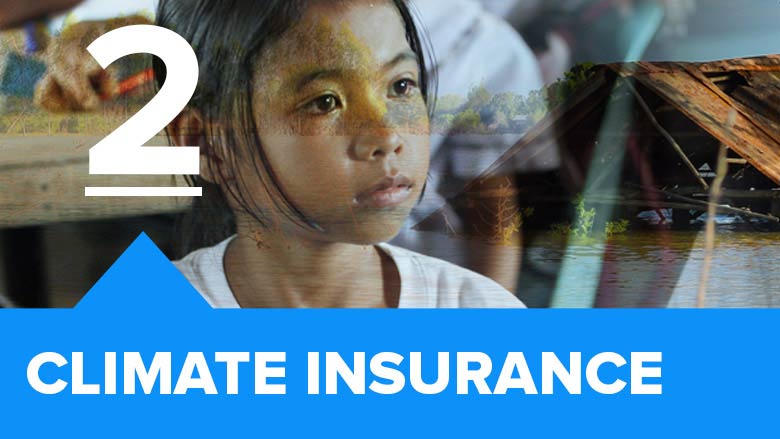 Climate Insurance