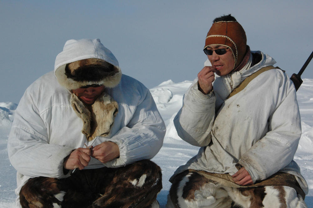 5 ways to help the Arctic as the planet warms | Connect4Climate