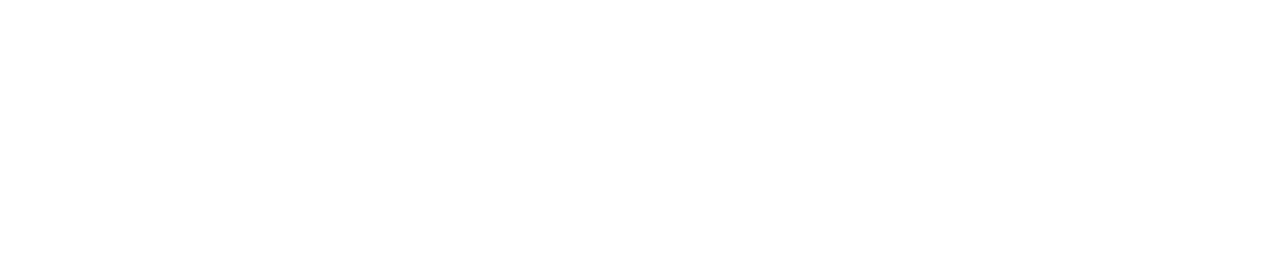 Connect4Climate Logo: White Version