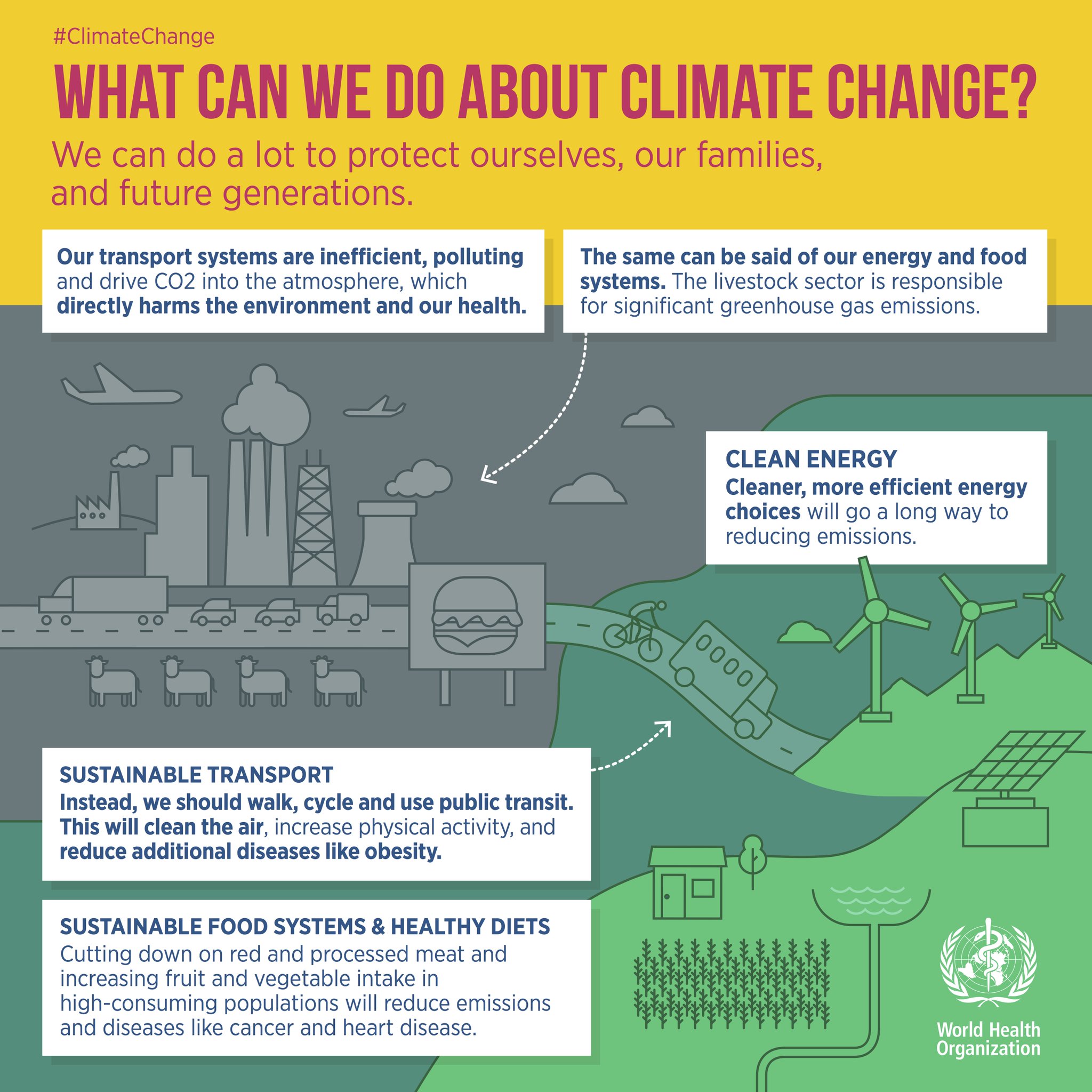 What Can We Do About Climate Change? | Connect4Climate