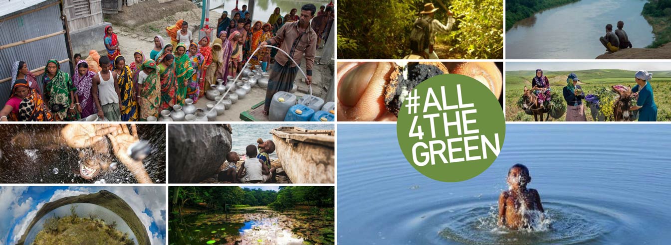 Winners of #All4TheGreen Contest announced