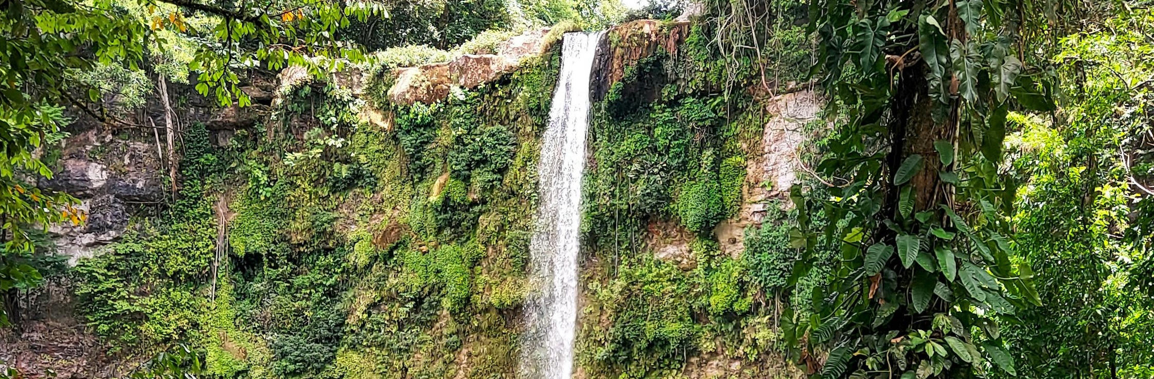 Three Young Leaders Share Their Insights Into Climate Action