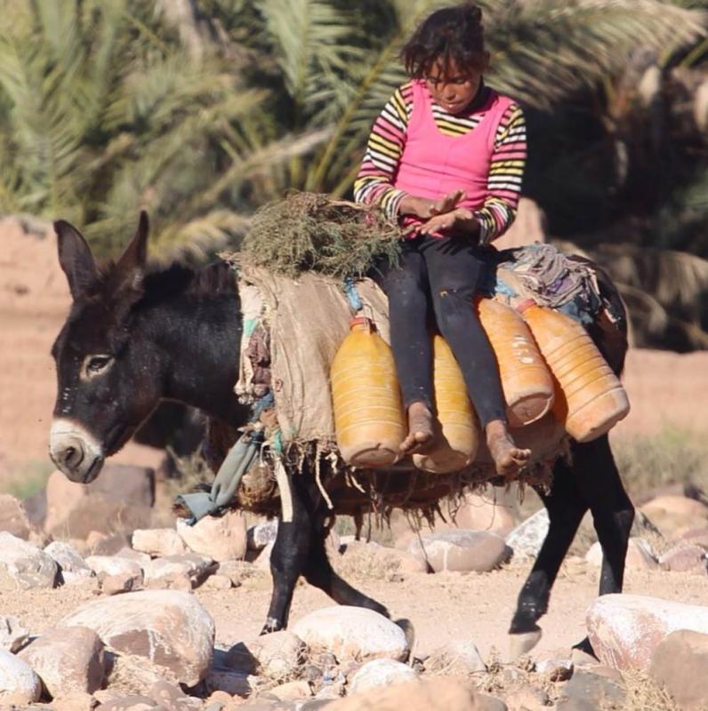 Adil Moumane, Morocco