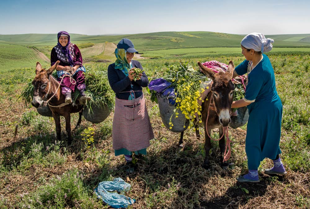 Dorte Verner, Born in Denmark, Photo Morocco