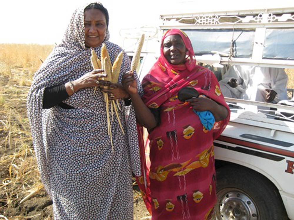 Building Resilient Livelihoods, Sudan, UNFCCC