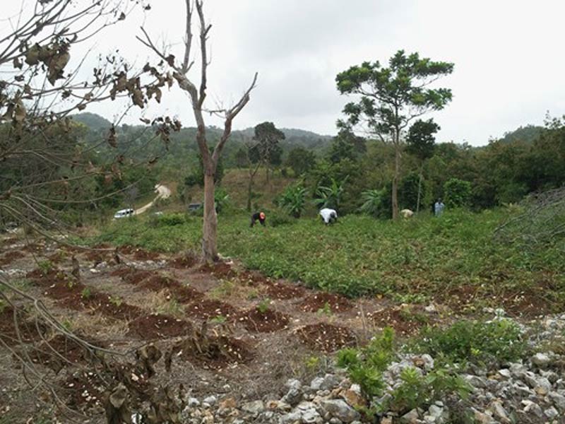 Partnerships to Advance Climate Risk Insurance Approaches, Grenada, Jamaica, and Saint Lucia, UNFCCC