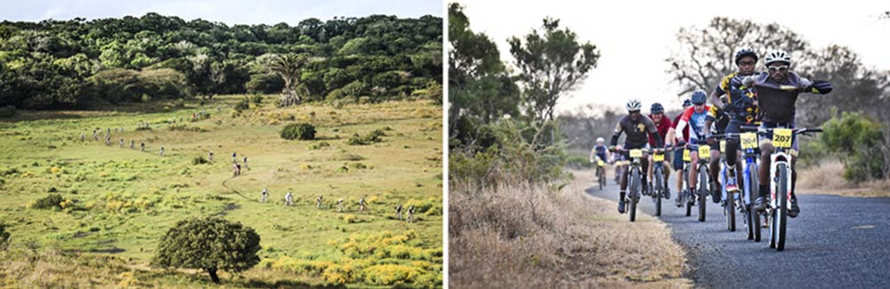 The largest contributor over the past five years to the iSimangaliso Rare and Endangered Species Fund has been the annual iSimangaliso MTB 4 Day event. 
