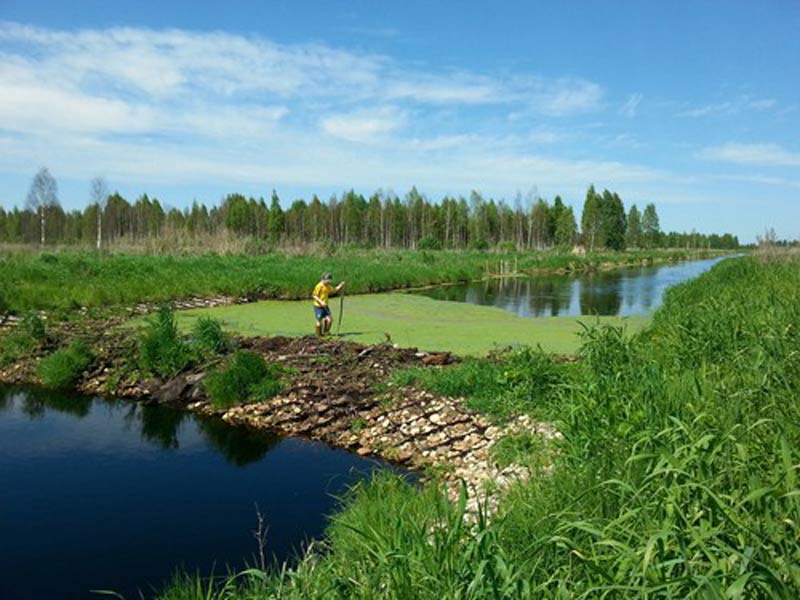 Restoring Peatlands in Russia, Russia, UNFCCC