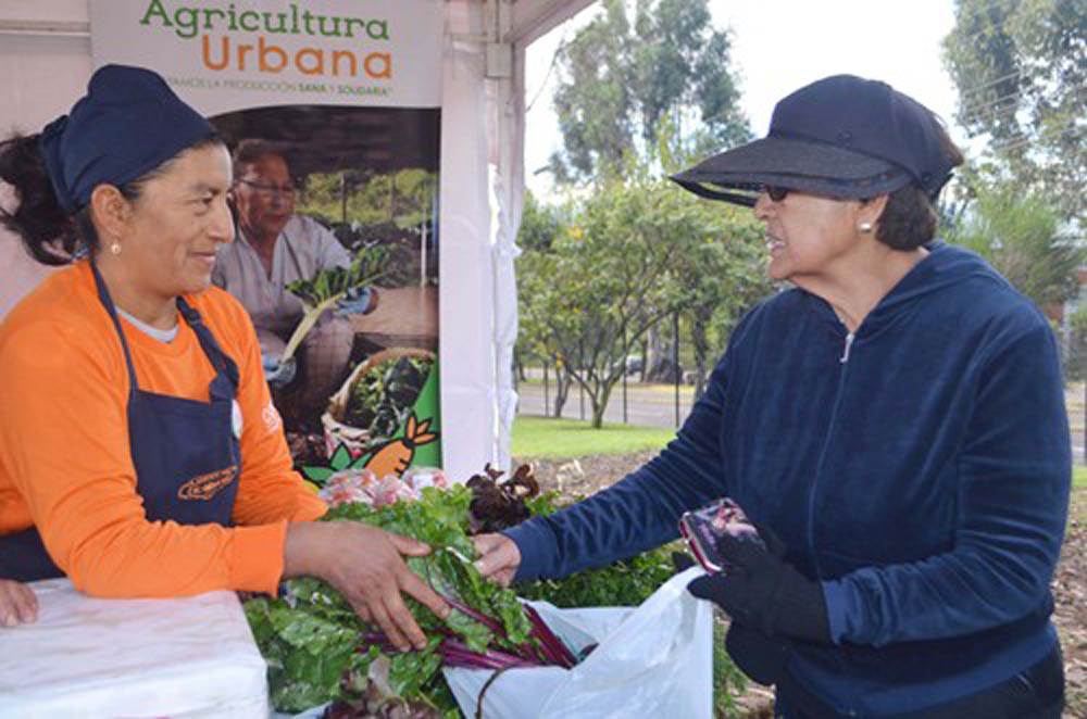 Sustainable Agriculture with Gender Inclusion and Participation in Quito, Ecuador, UNFCCC