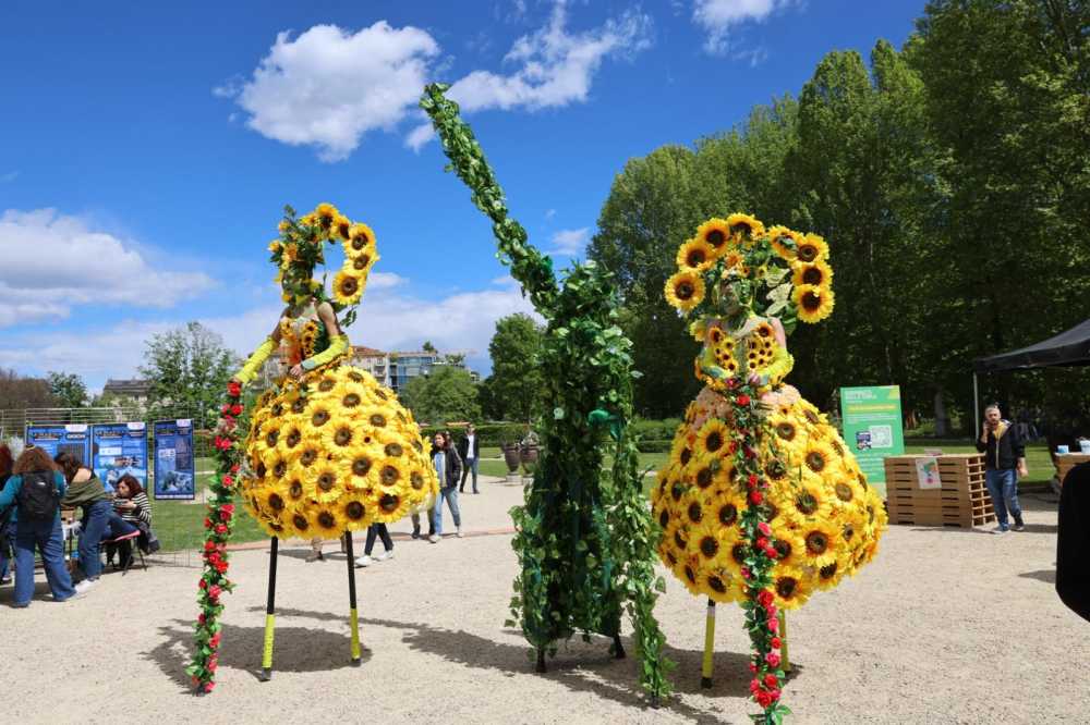 Two women on stilts in extravagant sunflower costumes flank another figure on stilts whose body is covered in green vines.