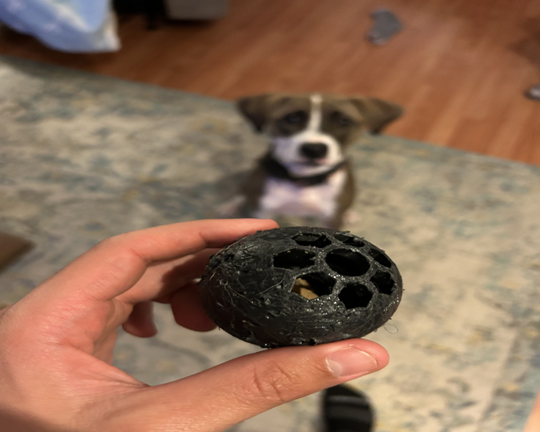 A hand holds a sustainably made chewable dog toy as a dog looks on from the rug in the background.