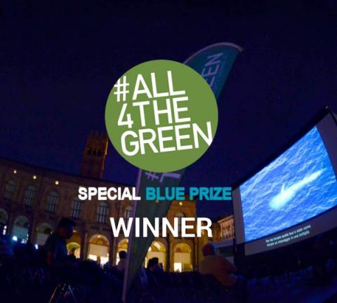 #All4TheGreen Contest Special Blue Prize: The Winner