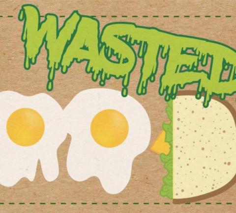 Food Waste Infographic