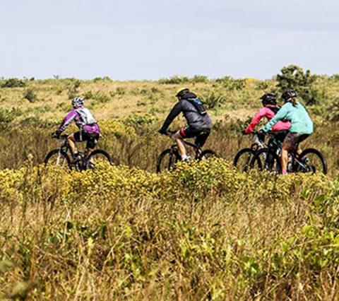 iSimangaliso Rare and Endangered Species boosted by Eco-Series events