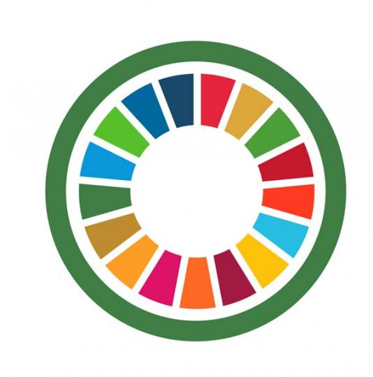 Accelerating Climate Action for all SDGs