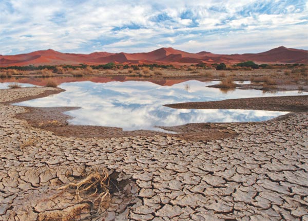  High and Dry: Climate Change, Water, and the Economy