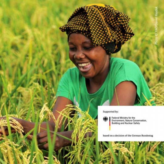 UNDP and FAO join to launch a new online course on climate change and agriculture