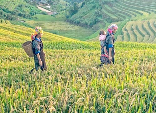 2017 Global Landscapes Forum