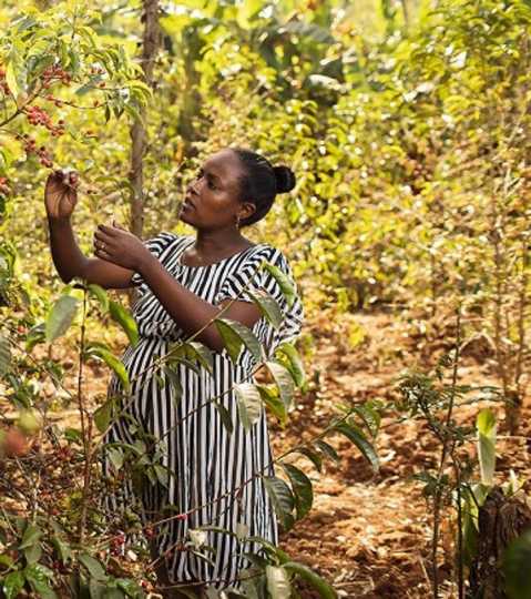 Doors open for Ethiopian women in climate-smart land use